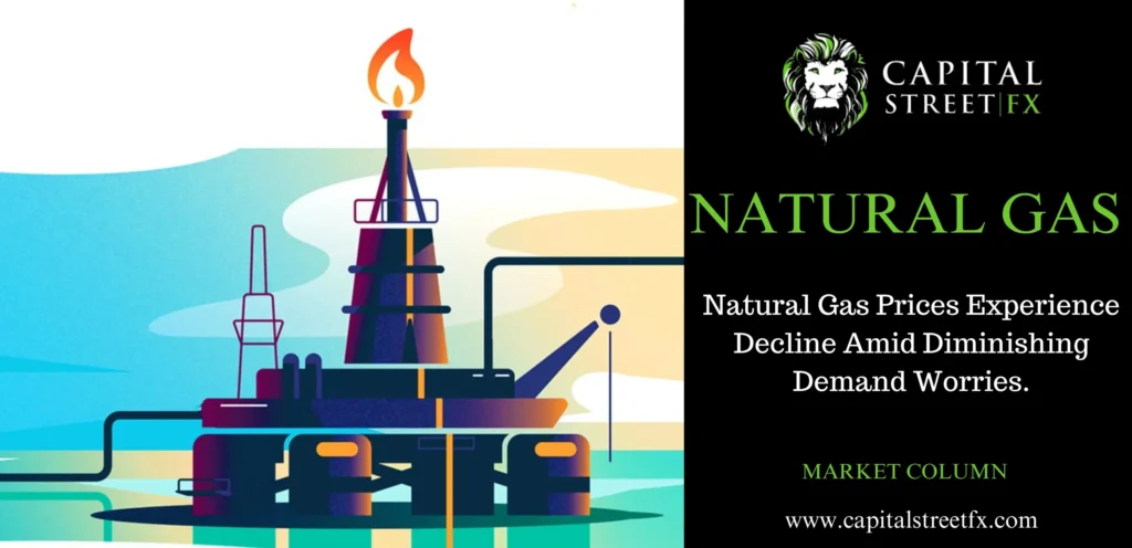 Natural Gas Price Trends: Factors, Analysis & Market Dynamics