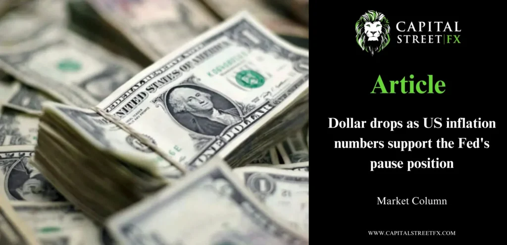 Dollar Drops as US Inflation Supports Fed’s Pause