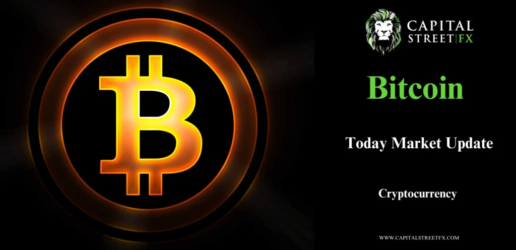 Bitcoin Whales Accumulate Amid Price Drop