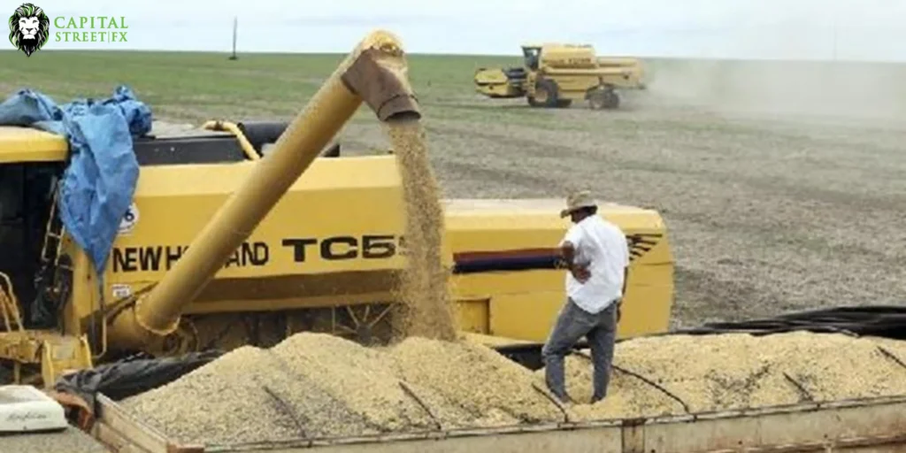 Drought Threatens U.S. Wheat Crop, Harvest Challenges