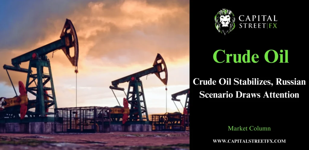 Crude Oil Stabilizes Amid Russian Uncertainties