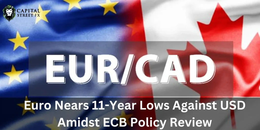 Euro Nears 11-Year Lows Against USD Amidst ECB Review