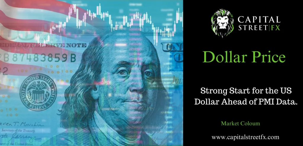 US Dollar Surges: PMI Data and Fed’s Policy Statement in Focus