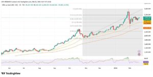 commodity44 3