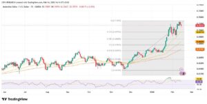 forex1233 3