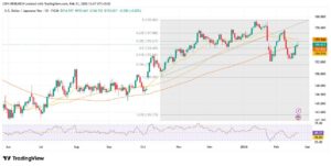 forex21 2