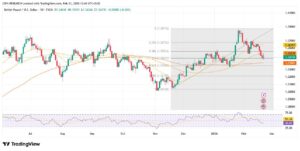 forex21 4