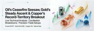 commodity daily 1 1