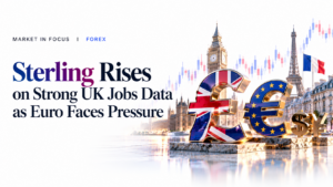 forex daily report